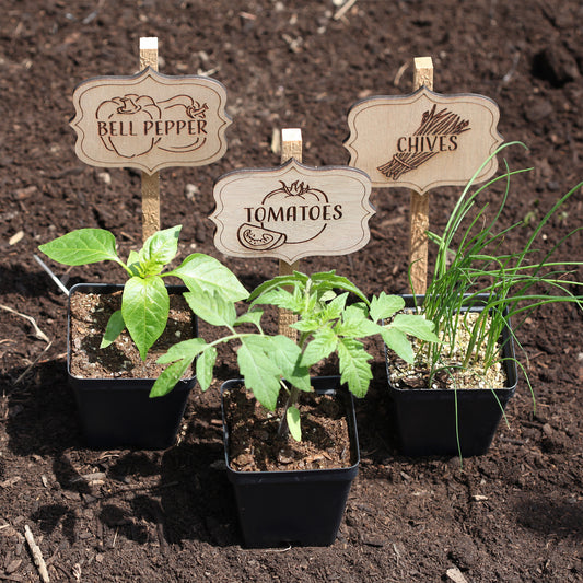 Veggie Garden Markers